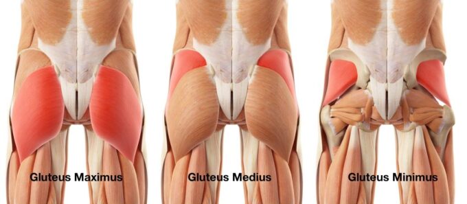 Glute Activation and Strength