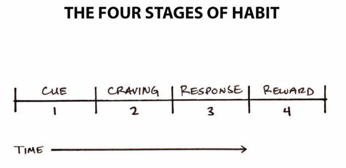 Novices develop these four good habits, and the catch is naturally